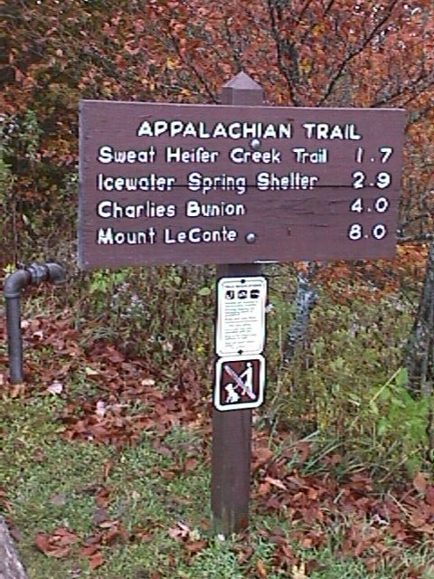 Trail marker near Newfound Gap early on our first day of 3